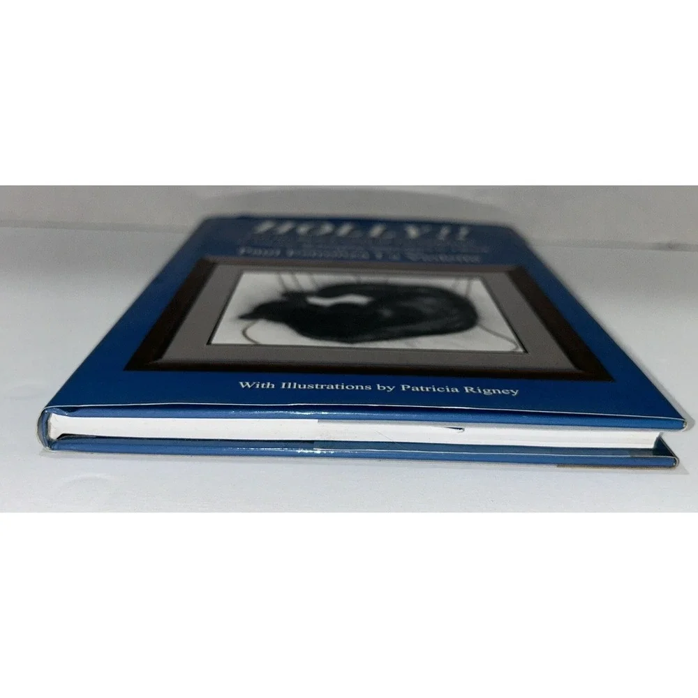 HOLLY!! And His Black Coat Of Invisibility: An Anthology Paul Estronza Rare Book